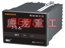 溫度表、數(shù)字顯示儀、濕度表