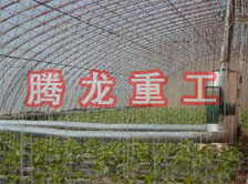 大棚花卉供暖設(shè)備、大棚卉采暖設(shè)備、大棚花卉取暖設(shè)備