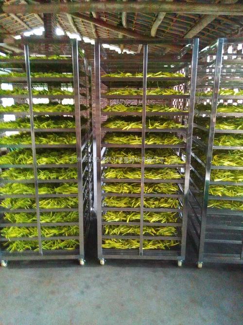 黃花菜烘干機(jī)、黃花菜烘干設(shè)備、黃花菜干燥機(jī)、黃花菜干燥設(shè)備、